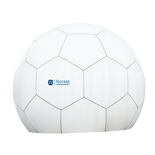 Ground Radome 8.0m